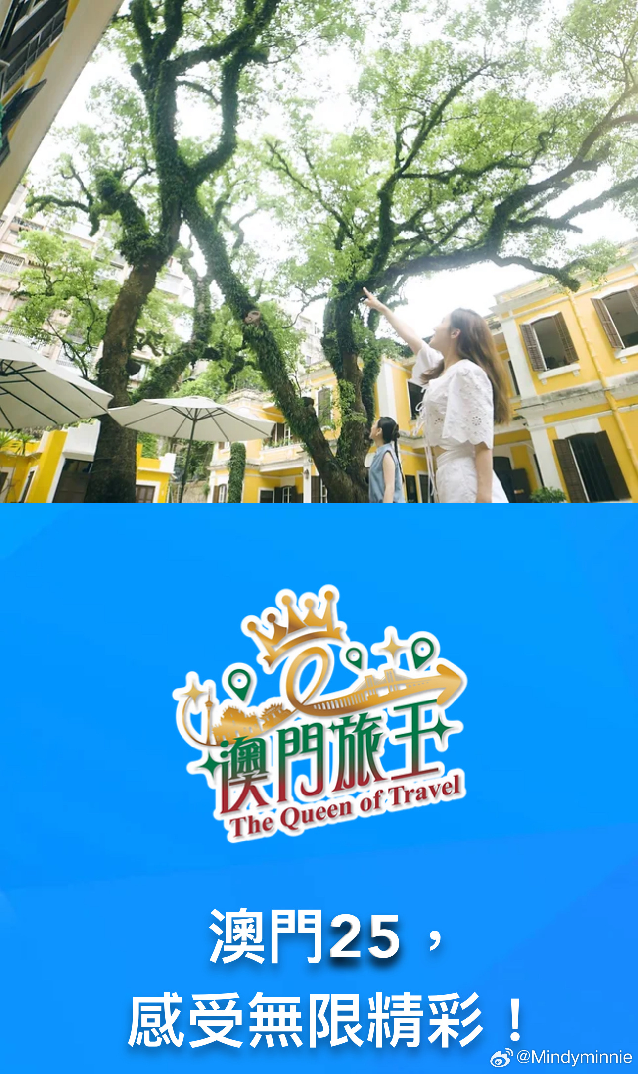 203年澳门资料免费看，探索与分享的全新体验之旅！