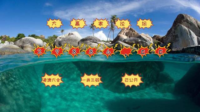 澳门天天彩开奖结果查询方法详解，轻松掌握，乐趣无边界！澳门天天彩开奖结果查询方法最新