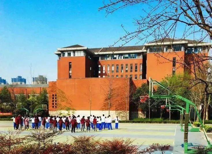 揭秘必中肖四不像的奥秘必中一肖四不像