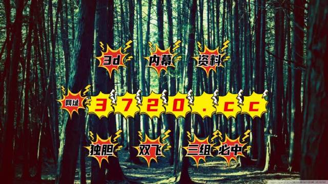 2025年5月17日 第12页