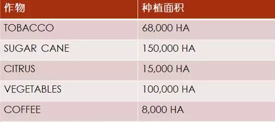 澳门六和合彩结果揭秘，20-未来开奖号码的神秘面纱澳门最精准免费资料大全旅游景点