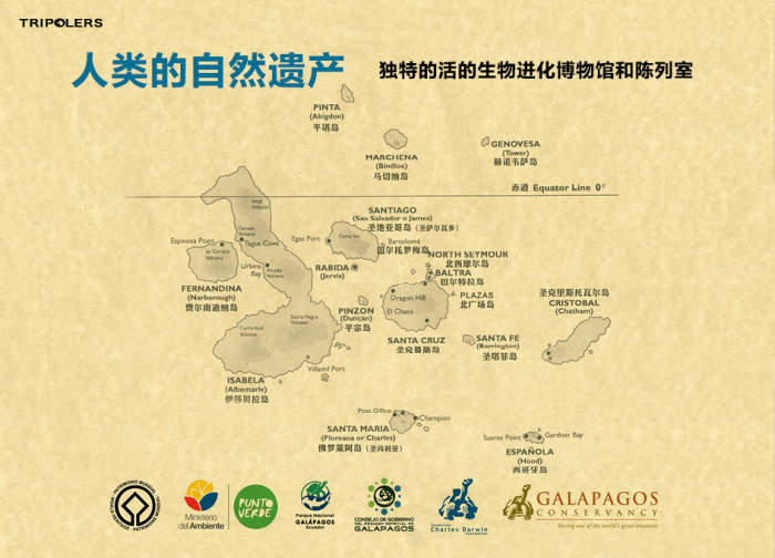 澳门六号码头高清图片之旅，探索与发现之行澳门6码